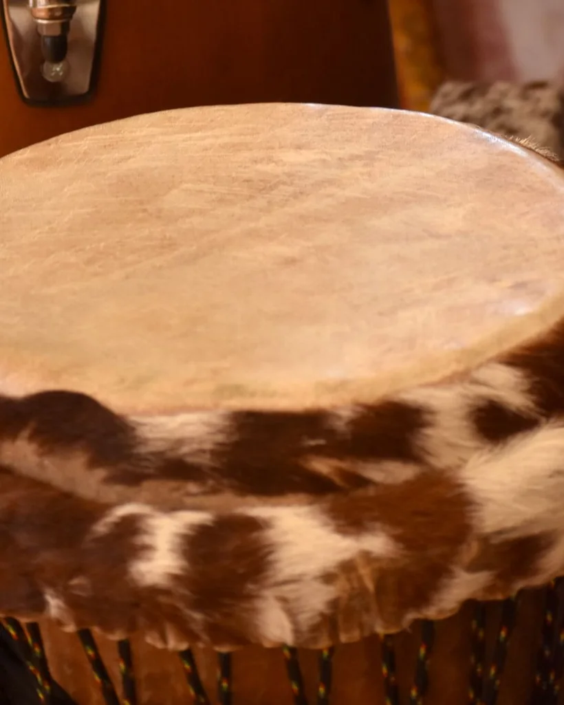 Membrana de piel natural tensada sobre un casco de madera, con el pelo del borde visible y cuerdas de tensión